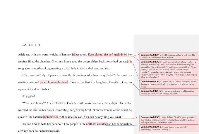 line edit and developmental edit your novel